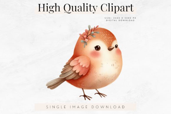 Cute Bird Clipart and Watercolor Animal Art for Designers