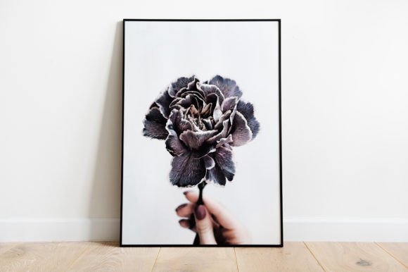 Flower Illustration Poster Watercolor Font Review