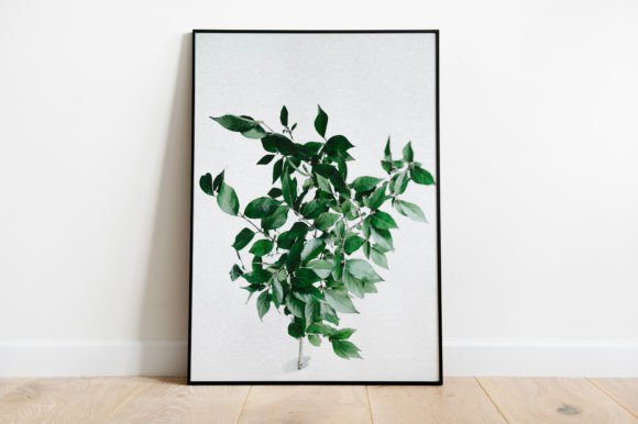 Leaf Illustration Poster Watercolor: A Font That Brings Nature to Typography