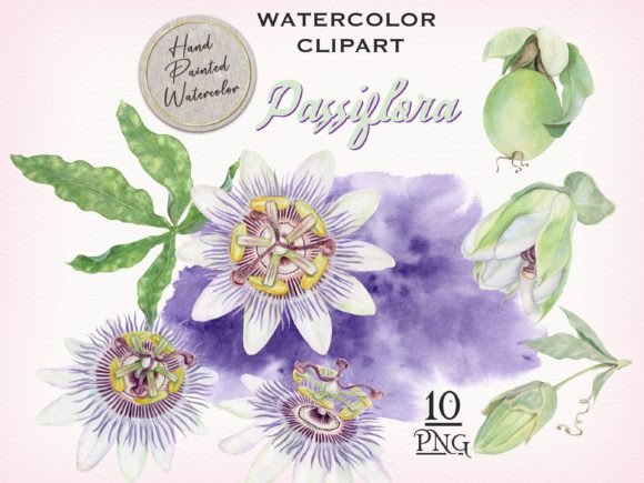 Passion Flower Watercolor Clipart: A Designer's Guide