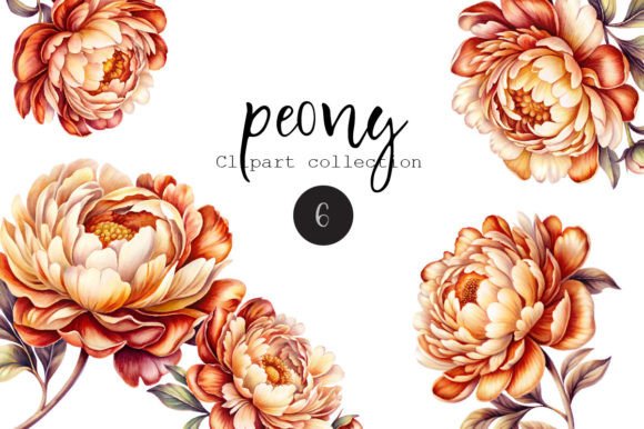 Peony Watercolor Clip Art for Branding Projects