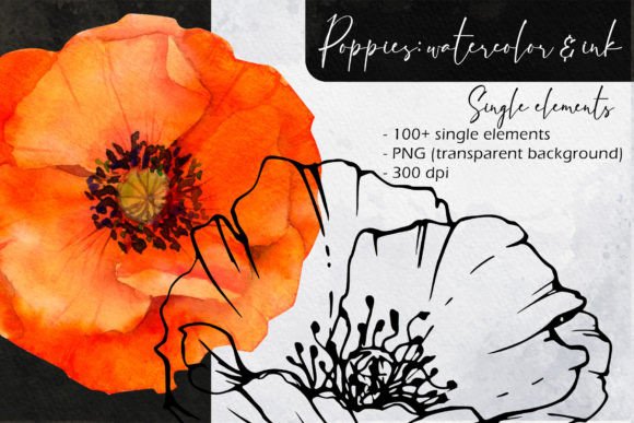 Poppies Watercolor, Ink. Single Elements for Design