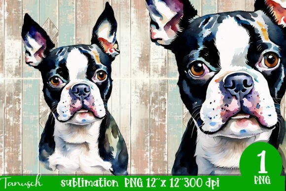 Watercolor Boston Terrier Sublimation