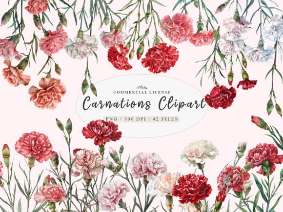 Watercolor Carnation Clipart: Red Flower