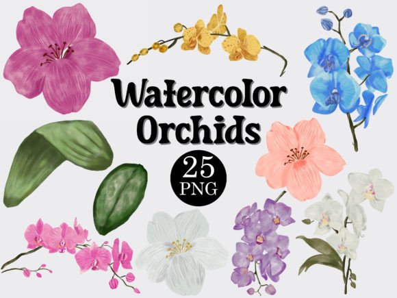 Watercolor Orchid Flower Clipart Set for Designers