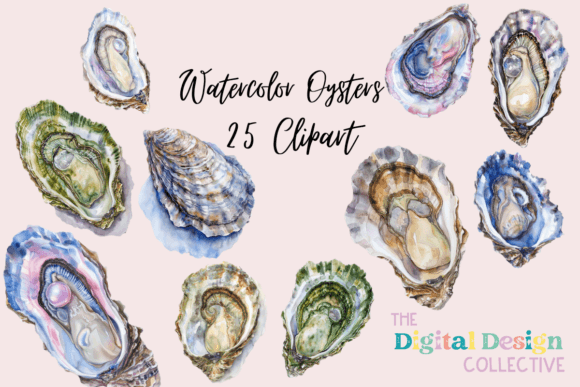 Watercolor Oyster Clipart Bundle: A Designer's Review