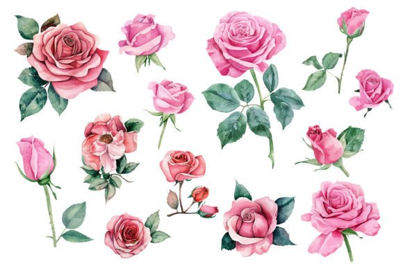 Watercolor Pink Rose Flower Bouquet: A Display Font with Soft Character