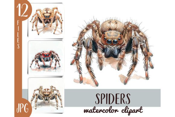 Watercolor Spiders Clipart JPG: Nature-Inspired Design Meets Practical Versatility