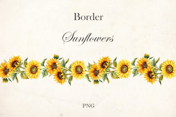 Watercolor Sunflowers Border: A Display Font with Organic Charm